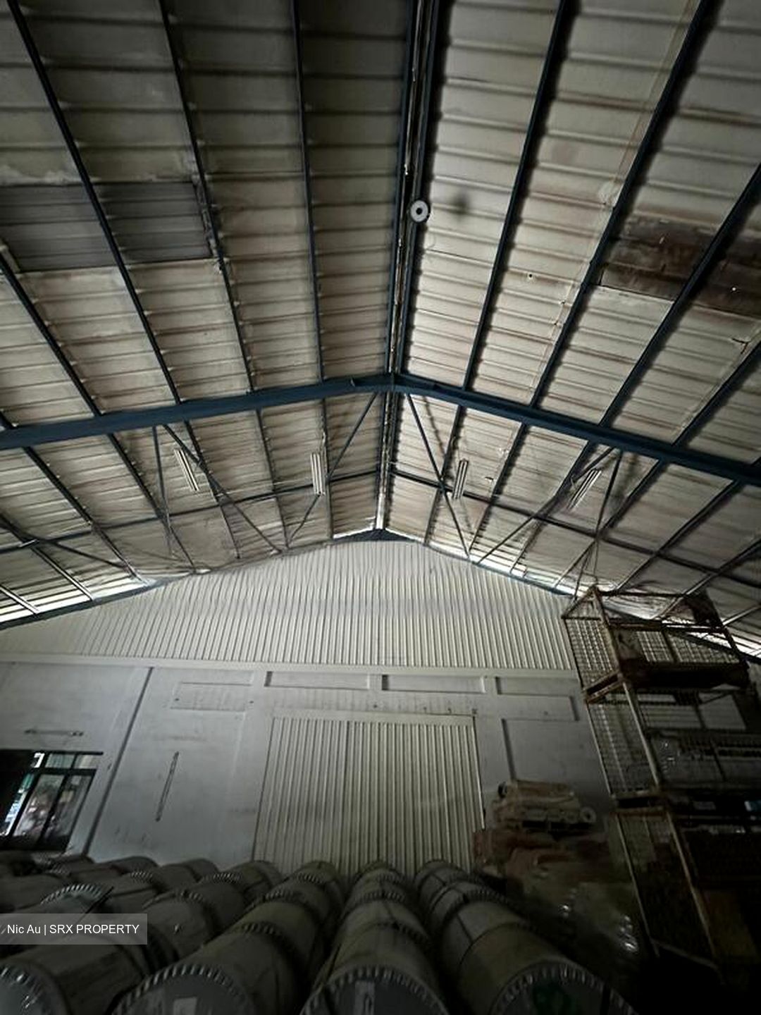 New Loyang Link (D17), Factory #460796721